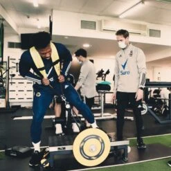 Acceleration Squat NeuroExcellence BASIC -Cress-Sport Sale Store acceleration squat neuroexcellence basic 1 2