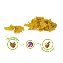 ANANAS CRUNCHY FRUIT BIO - 100% Ananas Biologiques Lyophilisées 6 ANANAS CRUNCHY FRUIT BIO - 100% Ananas Biologiques Lyophilisées -Cress-Sport Sale Store ananas crunchy fruit bio 100 ananas biologiques lyophilisees 2