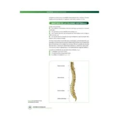 Anatomie Du Footballeur - 4TRAINER Editions -Cress-Sport Sale Store anatomie du footballeur 4trainer 2