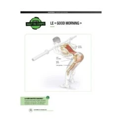 Anatomie Du Footballeur - 4TRAINER Editions -Cress-Sport Sale Store anatomie du footballeur 4trainer 4