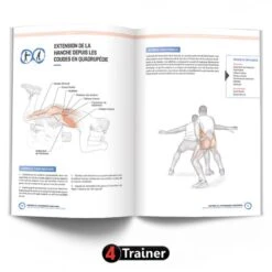 ANATOMIE ET ENTRAÎNEMENT FONCTIONNEL - 4Trainer Editions 8 ANATOMIE ET ENTRAÎNEMENT FONCTIONNEL - 4Trainer Editions -Cress-Sport Sale Store anatomie et entrainement fonctionnel 4trainer editions 3