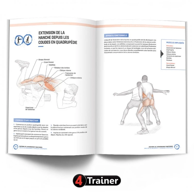 ANATOMIE ET ENTRAÎNEMENT FONCTIONNEL - 4Trainer Editions 4 ANATOMIE ET ENTRAÎNEMENT FONCTIONNEL - 4Trainer Editions - Image 4