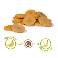 BANANE CRUNCHY FRUIT BIO - 100% Bananes Biologiques Lyophilisées 6 BANANE CRUNCHY FRUIT BIO - 100% Bananes Biologiques Lyophilisées -Cress-Sport Sale Store banane crunchy fruit bio 100 bananes biologiques lyophilisees 2