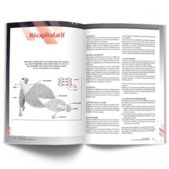 COACHING ULTIME - Les Clés De L'Entraînement Individualisé - 4Trainer Editions -Cress-Sport Sale Store coaching ultime les cles de l entrainement individualise 4