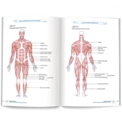 Guide Du Sport Santé - 4Trainer Editions -Cress-Sport Sale Store guide du sport sante 4trainer editions 10