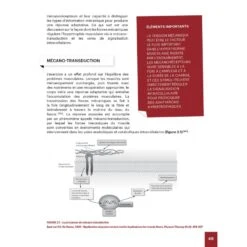 Hypertrophie - 4TRAINER Editions -Cress-Sport Sale Store hypertrophie 3