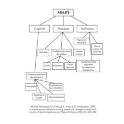 L'Affûtage - 4TRAINER Editions -Cress-Sport Sale Store l affutage 4