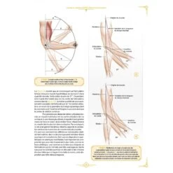 L'Encyclopédie De La Préparation Physique - 4TRAINER Editions -Cress-Sport Sale Store l encyclopedie de la preparation physique 12