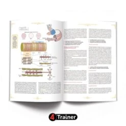 L'Encyclopédie De La Préparation Physique - 4TRAINER Editions -Cress-Sport Sale Store l encyclopedie de la preparation physique 3