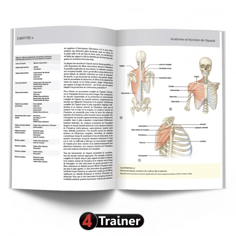 L'Épaule - 4TRAINER EDITIONS 6 L'Épaule - 4TRAINER EDITIONS - Image 6