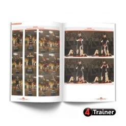 LA PRÉPA PHYSIQUE BASKET - NOUVELLE ÉDITION - 4Trainer Editions -Cress-Sport Sale Store la prepa physique basket nouvelle edition 4trainer editions 15