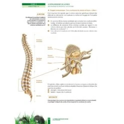 La Prépa Physique Rugby - Le Développement De La Force - 4TRAINER Editions -Cress-Sport Sale Store la prepa physique rugby le developpement de la force 4