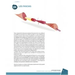 La Prépa Physique Volley-Ball 15 La Prépa Physique Volley-Ball -Cress-Sport Sale Store la prepa physique volley ball 6