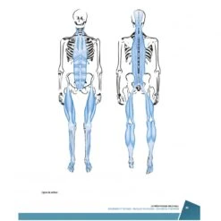 La Prépa Physique Volley-Ball 16 La Prépa Physique Volley-Ball -Cress-Sport Sale Store la prepa physique volley ball 7