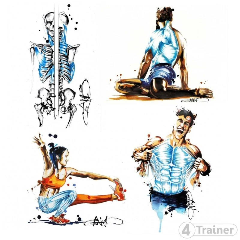 Lot De 4 Posters GANO : Muscles Inspiratoires - Pistol - Fascias - Dorsal - 4TRAINER 1 Lot De 4 Posters GANO : Muscles Inspiratoires - Pistol - Fascias - Dorsal - 4TRAINER
