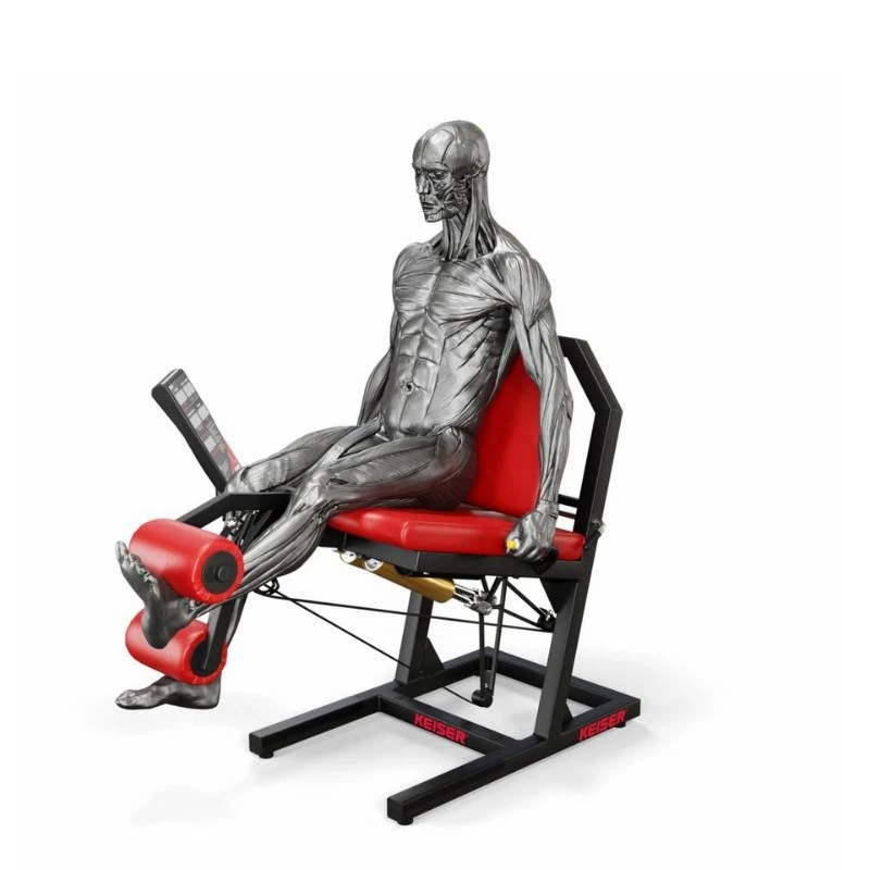 KEISER A300 Leg Extension PRO - Machine De Musculation Quadriceps à Résistance Pneumatique 7 KEISER A300 Leg Extension PRO - Machine De Musculation Quadriceps à Résistance Pneumatique - Image 7