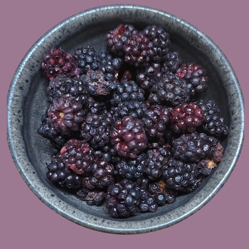 MÛRE CRUNCHY FRUIT BIO - 100% Mûres Biologiques Lyophilisées 2 MÛRE CRUNCHY FRUIT BIO - 100% Mûres Biologiques Lyophilisées - Image 2