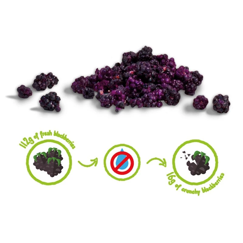 MÛRE CRUNCHY FRUIT BIO - 100% Mûres Biologiques Lyophilisées 3 MÛRE CRUNCHY FRUIT BIO - 100% Mûres Biologiques Lyophilisées - Image 3