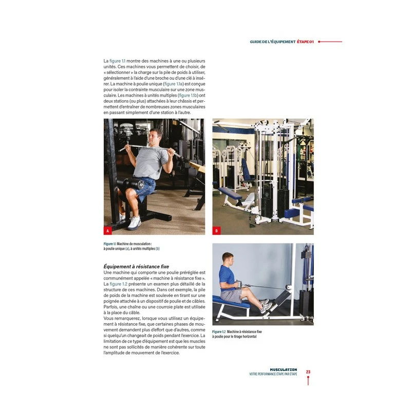 MUSCULATION - Votre Performance Étape Par Étape - 4TRAINER Editions 5 MUSCULATION - Votre Performance Étape Par Étape - 4TRAINER Editions - Image 5