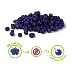 MYRTILLE CRUNCHY FRUIT BIO - 100% Myrtilles Biologiques Lyophilisées -Cress-Sport Sale Store myrtille crunchy fruit bio 100 myrtilles biologiques lyophilisees 2