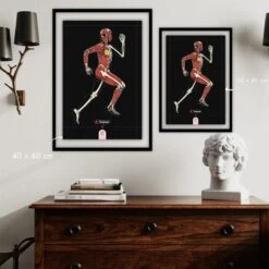 Pack RUNNING RENFO + Illustration - 4TRAINER EDITIONS -Cress-Sport Sale Store pack running renfo 4trainer editions 2