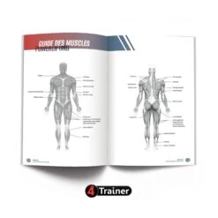 POWERLIFTING - Les Bases Techniques De La Force Athlétique - 4TRAINER EDITIONS -Cress-Sport Sale Store powerlifting les bases techniques de la force athletique 4trainer editions 1