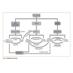 WORKOUT - Pour Un Entraînement Plus Intelligent - 4TRAINER Editions -Cress-Sport Sale Store workout pour un entrainement plus intelligent 2