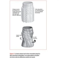 WORKOUT - Pour Un Entraînement Plus Intelligent - 4TRAINER Editions -Cress-Sport Sale Store workout pour un entrainement plus intelligent 3